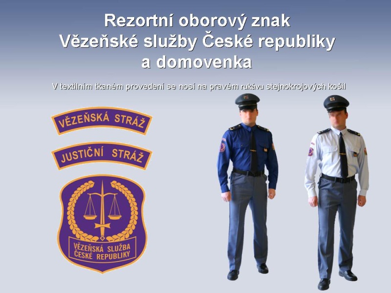 zpov-bacha-e-v-d-l-jsem-v-ce-ne-bych-m-l-ozbrojeneslozky-cz